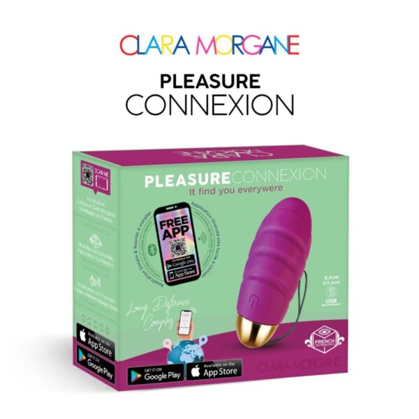 Pleasure connexion Violet - Oeuf vibrant